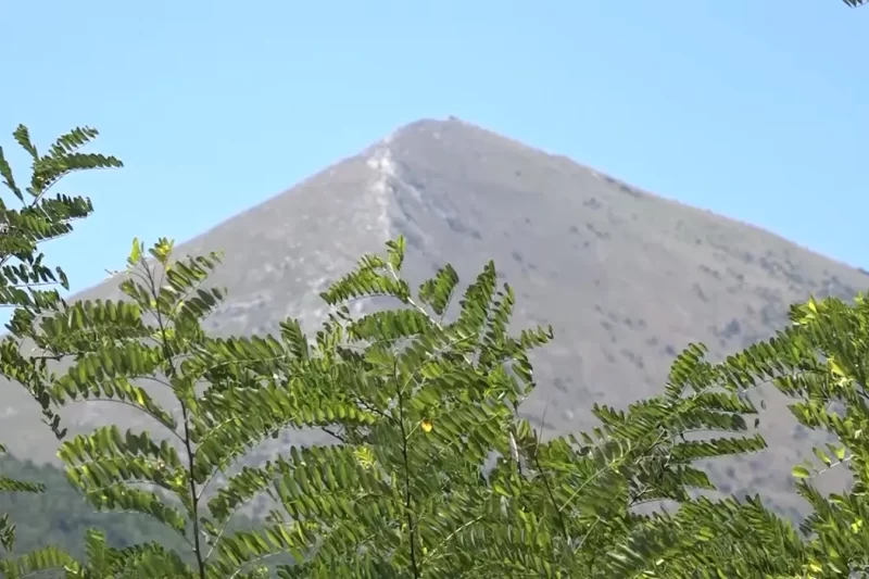 Read more about the article Turizam u Boljevcu