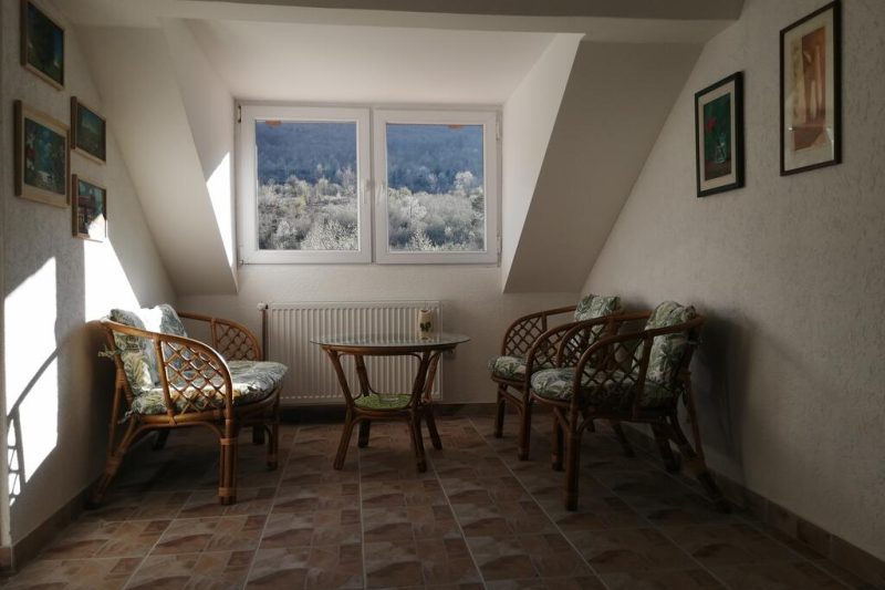 Read more about the article Seosko turističko domaćinstvo “Lep Pogled”