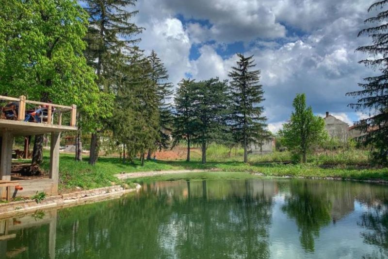 Read more about the article Pansion „RADGOST“