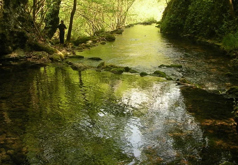 Read more about the article Lov i ribolov