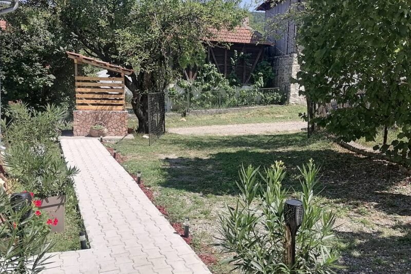 Read more about the article Ruža vetrova